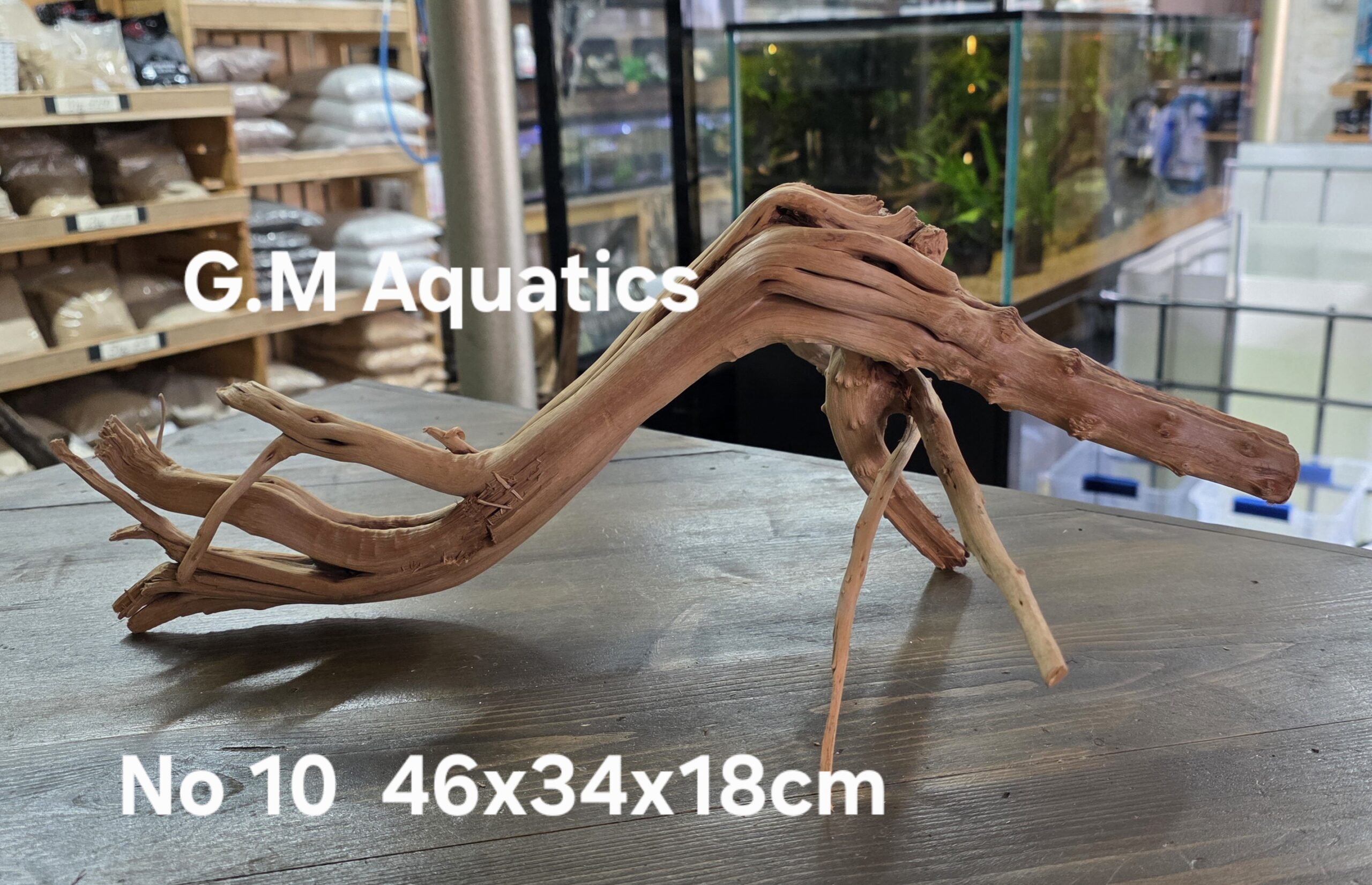 Spider / Slim wood No 10 46x34x18cm