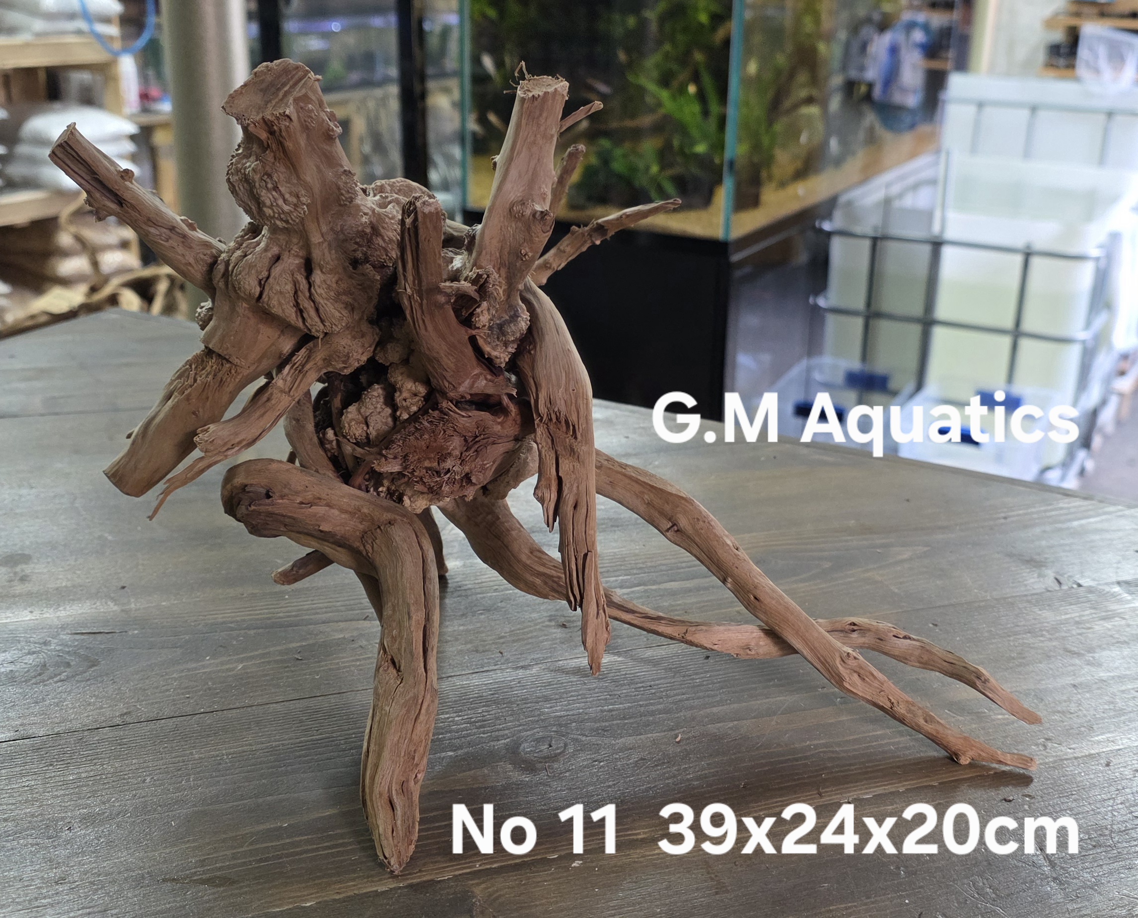 Spider / Slim wood No 11 39x24x20cm - Image 2