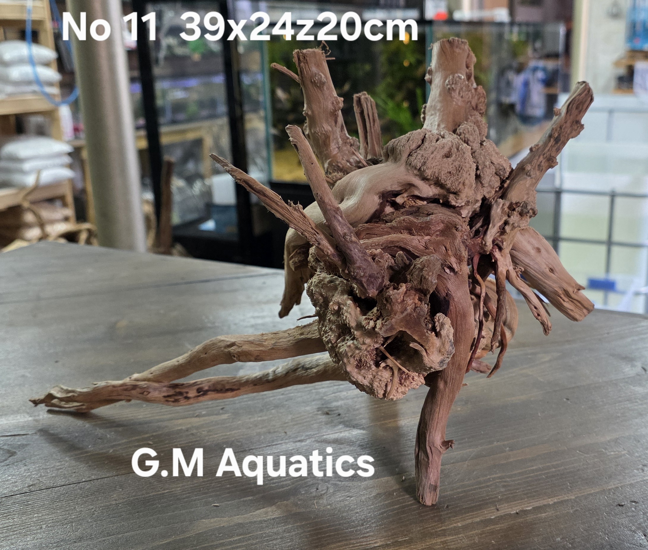 Spider / Slim wood No 11 39x24x20cm - Image 3