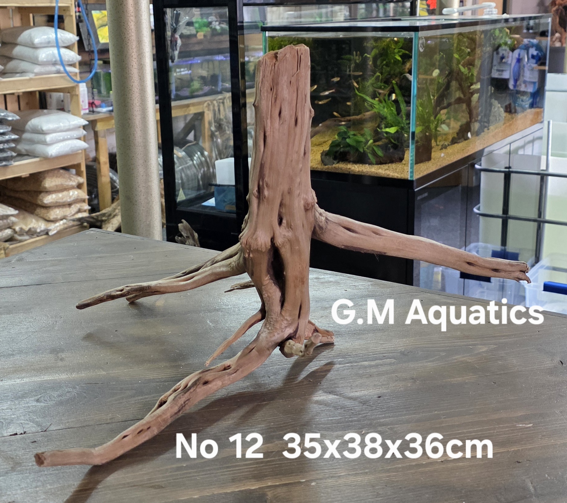 Spider / Slim wood No 12 35x38x36cm