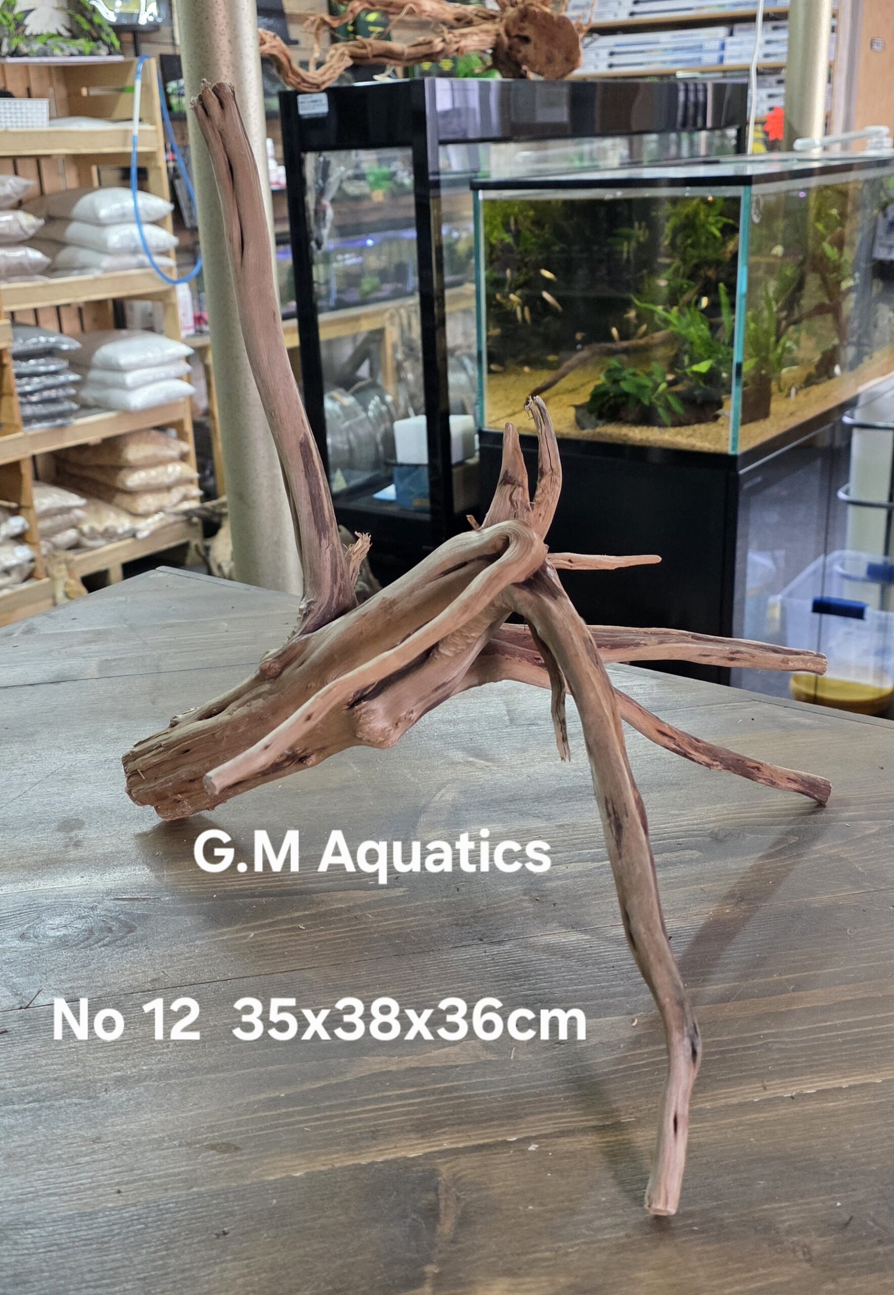Spider / Slim wood No 12 35x38x36cm - Image 2