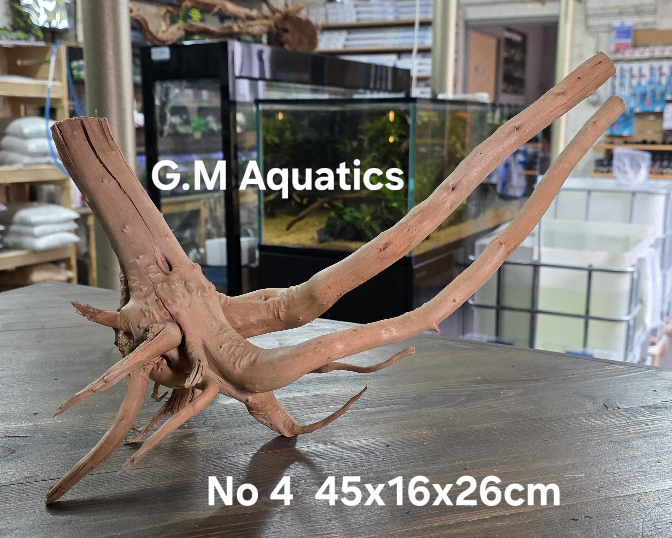 Spider / Slim wood No 4 45x16x26cm