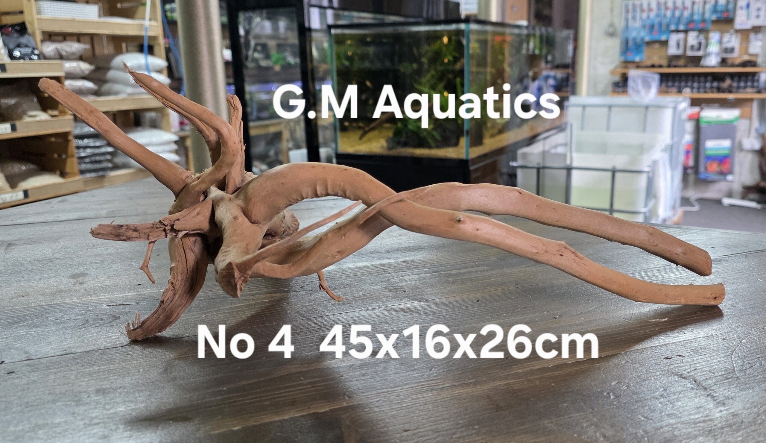 Spider / Slim wood No 4 45x16x26cm - Image 2