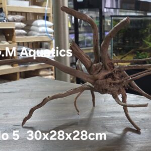 Spider / Slim wood No 5 30x28x28cm