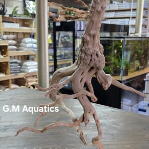 Spider / Slim wood No 6 36x32x24cm