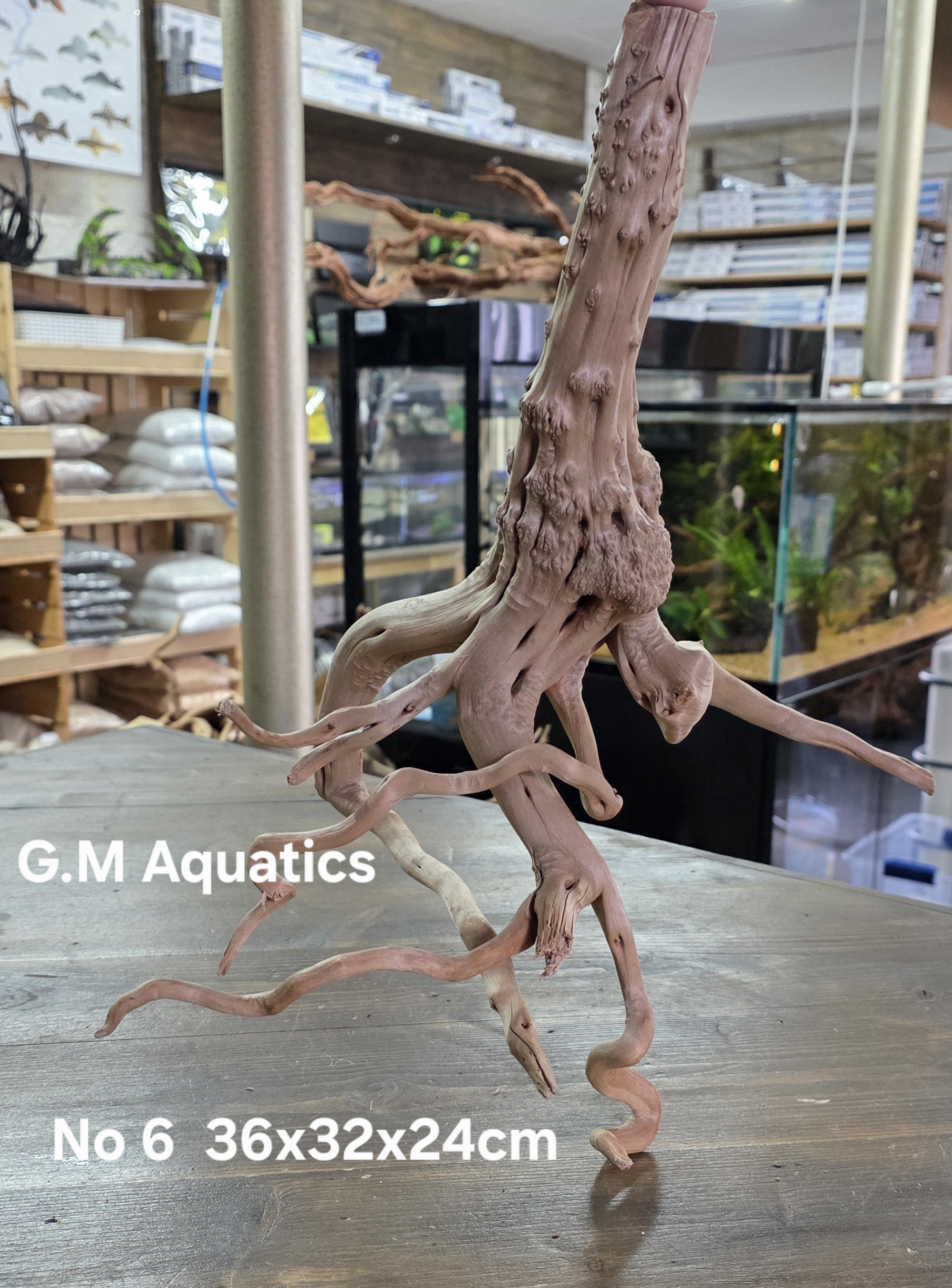 Spider / Slim wood No 6 36x32x24cm