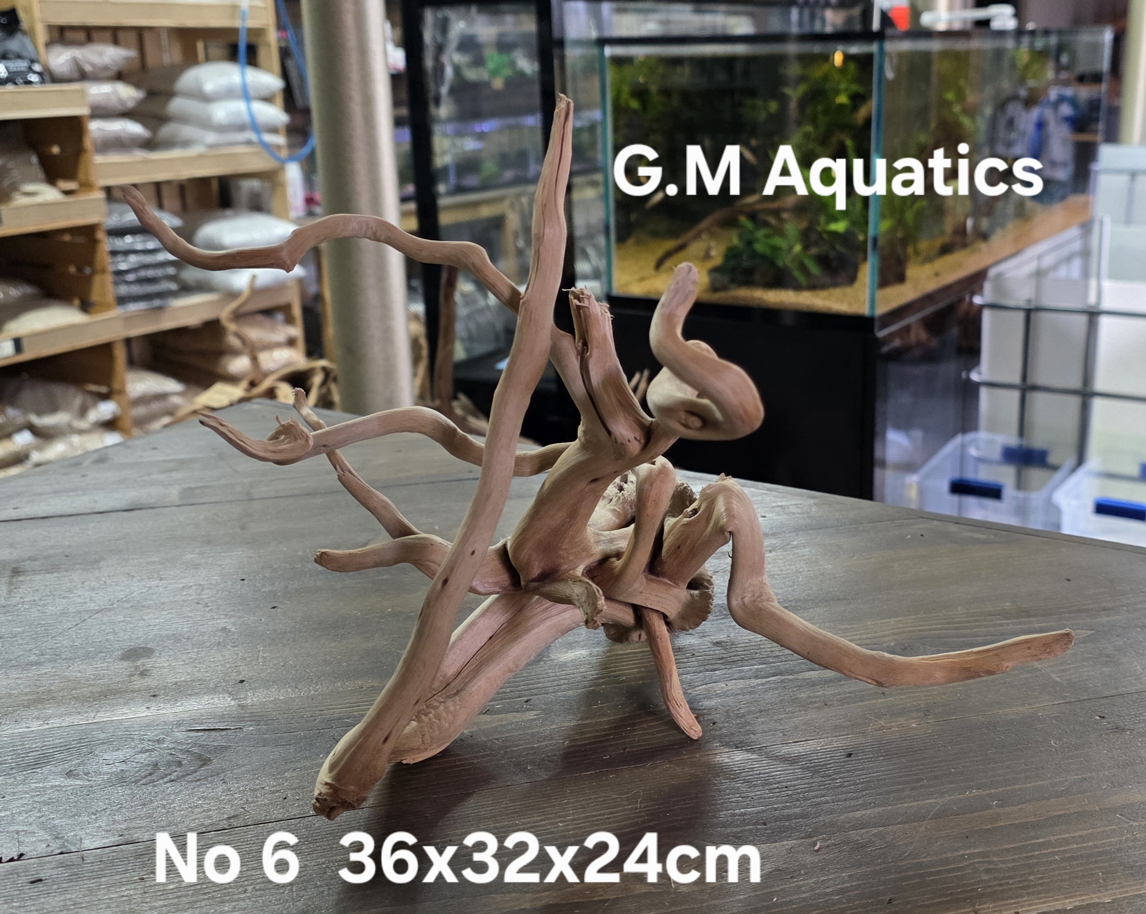 Spider / Slim wood No 6 36x32x24cm - Image 4