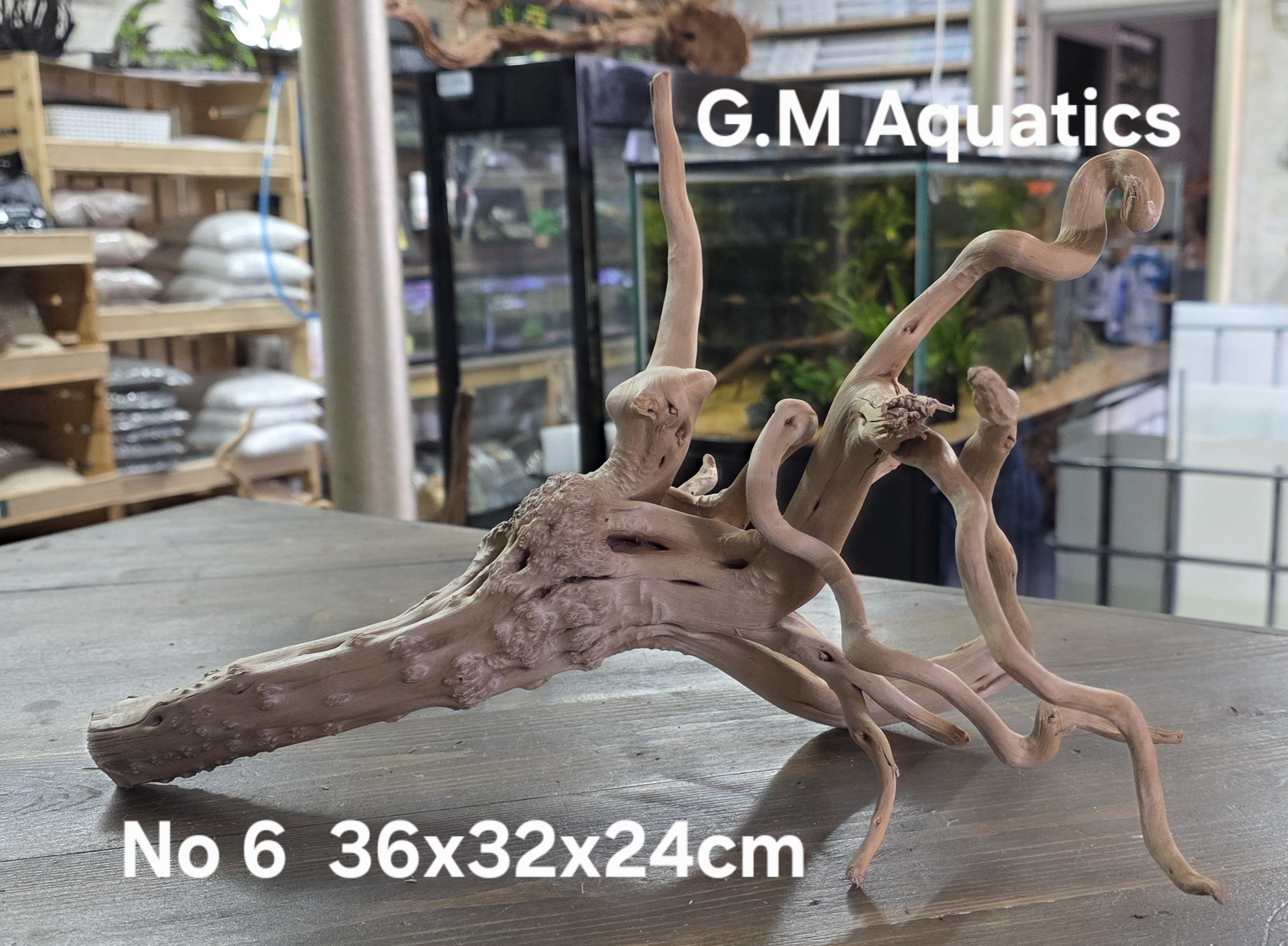 Spider / Slim wood No 6 36x32x24cm - Image 2