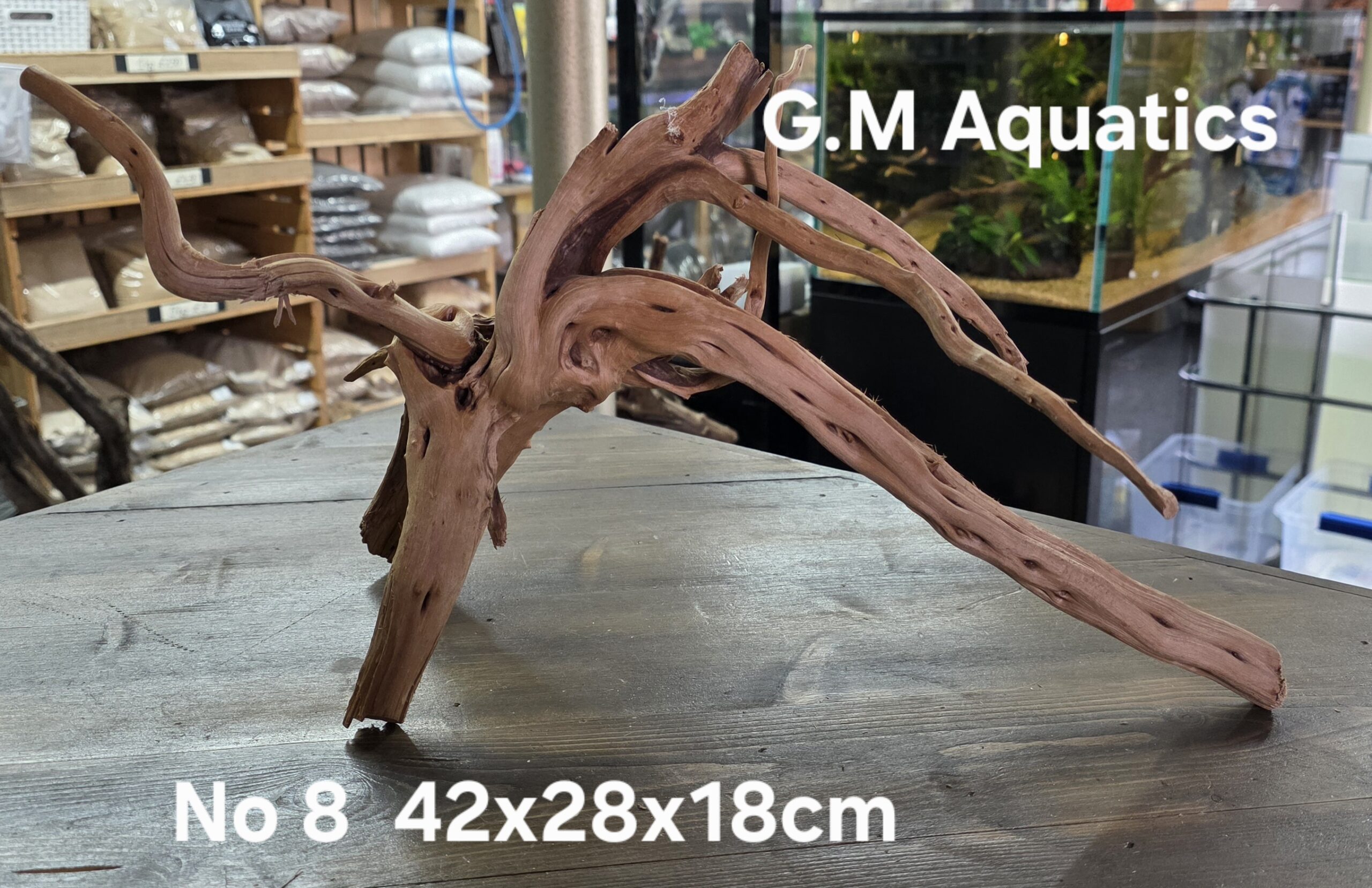 Spider / Slim wood No 8 42x28x18cm - Image 3