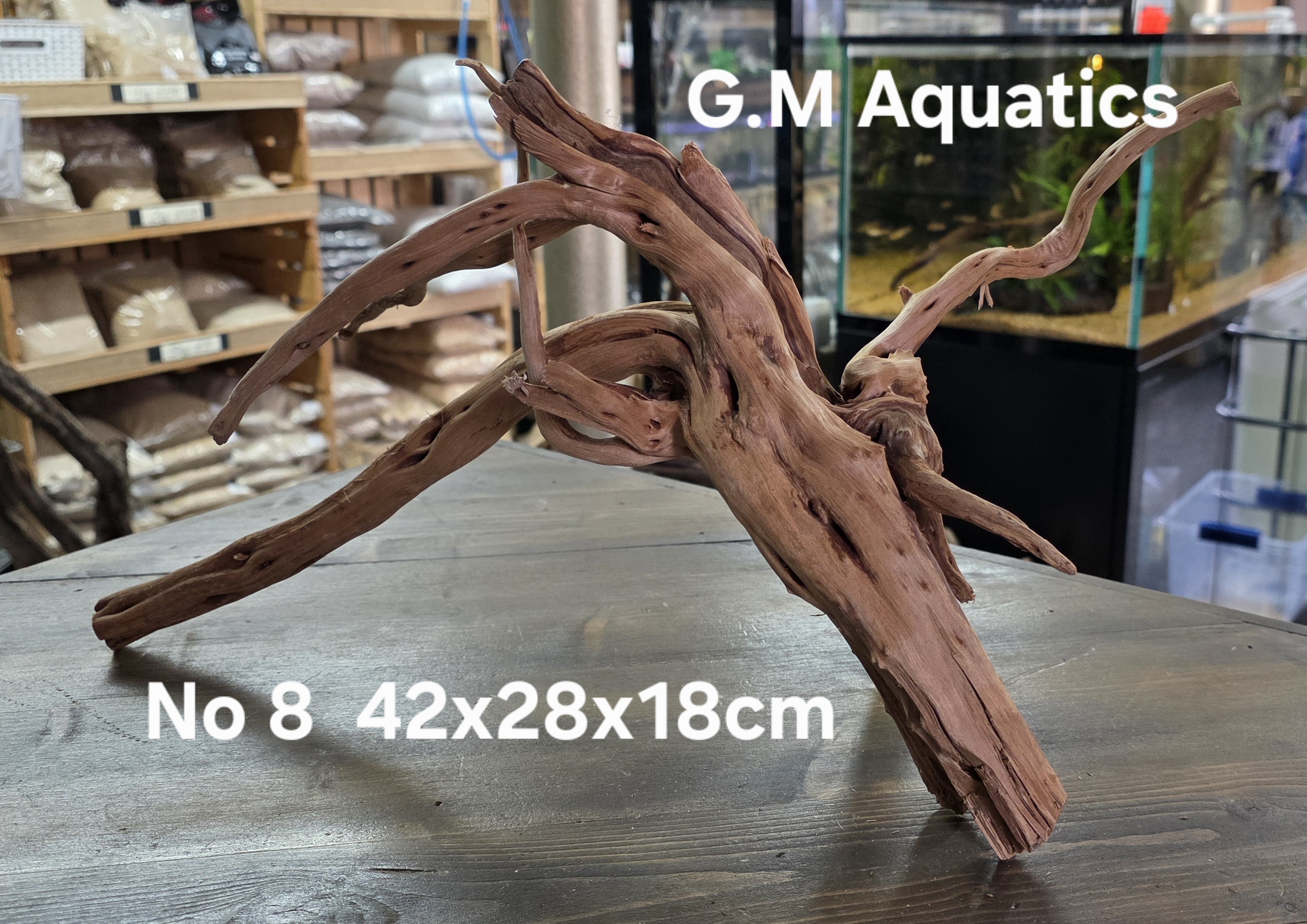 Spider / Slim wood No 8 42x28x18cm - Image 4