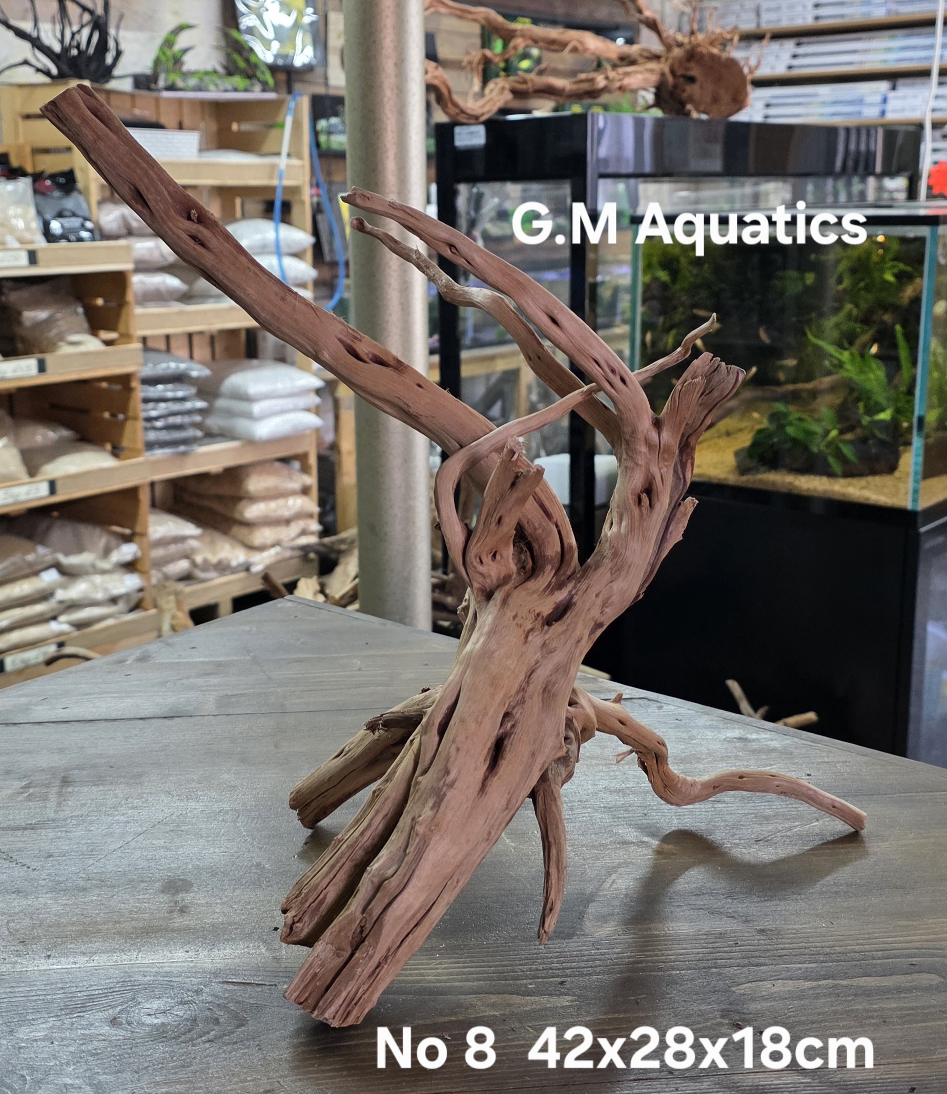Spider / Slim wood No 8 42x28x18cm