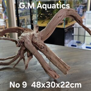 Spider / Slim wood No 9 48x30x22cm