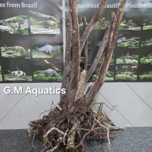 Black stump wood No 6  61x47x88cm