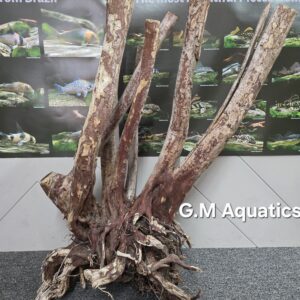 Black stump wood No 9 64x40x86cm