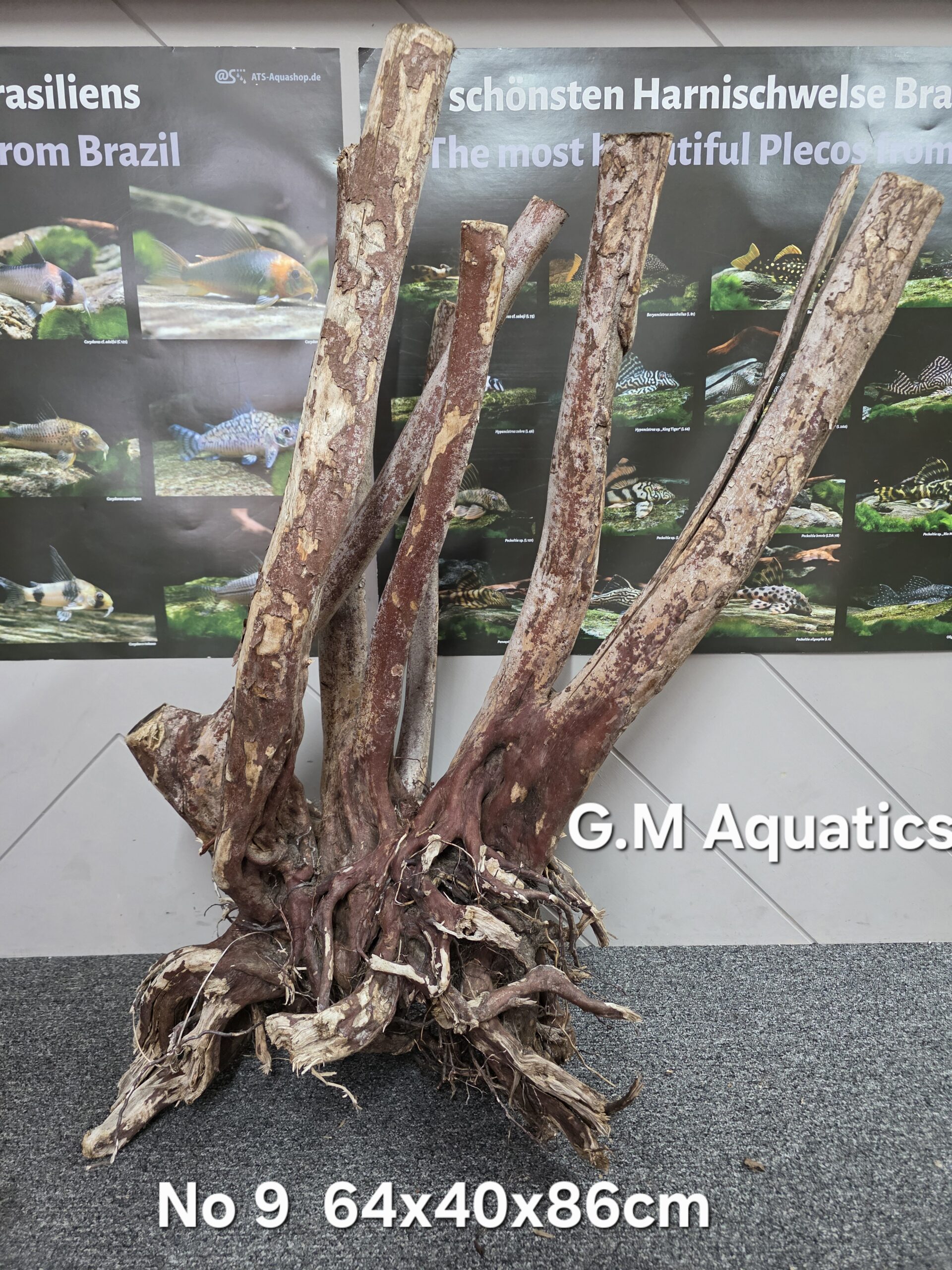 Black stump wood No 9 64x40x86cm