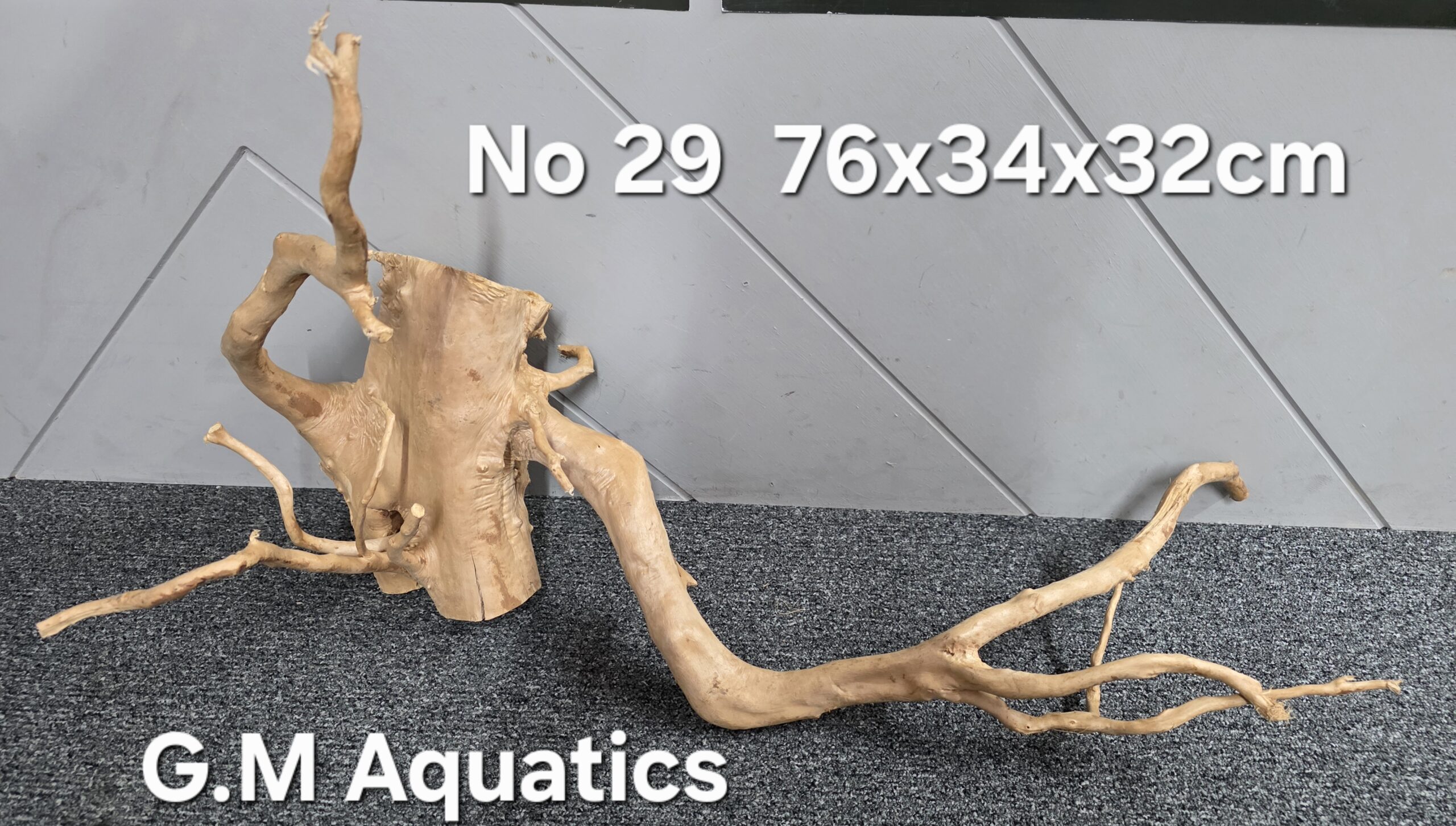 Red moor / Azalea wood No 29 76x34x32cm - Image 2