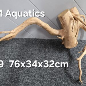 Red moor / Azalea wood No 29 76x34x32cm