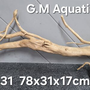 Red moor / Azalea wood  No 31   78x31x17cm
