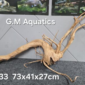 Red moor / Azalea wood  No 33  73x41x27cm