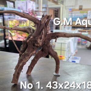 Spider / Slim wood No 1 43x24x18cm