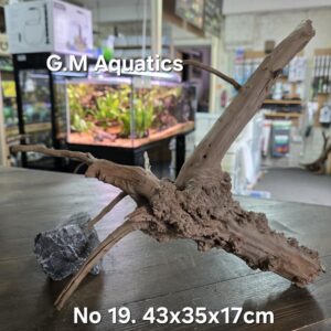 Spider / Slim wood No 19 43x35x17cm