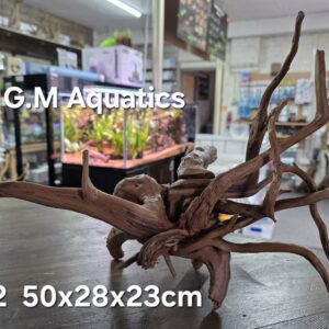 Spider / Slim wood No 2 50x28x23cm