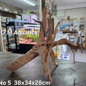 Spider / Slim wood No 5 38x34x28cm