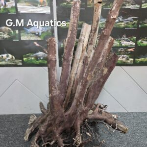 Black stump wood No 1 69x50x43cm