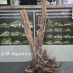 Black stump wood No 10 106x60x48cm