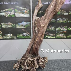 Black stump wood No 11 89x53x38cm