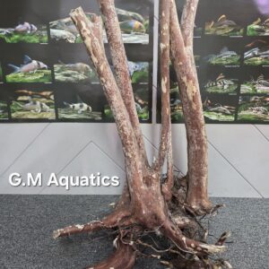 Black stump wood No 12 60x50x83cm
