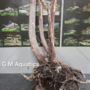 Black stump wood No 13 50x40x83cm