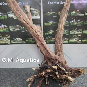 Black stump wood No 15 58x48x92cm