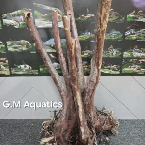 Black stump wood No 16 51x41x83cm