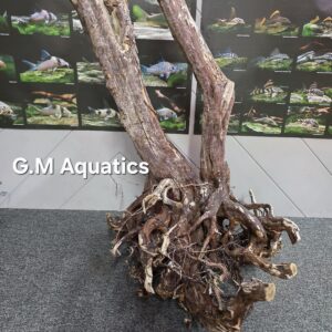 Black stump wood No 17 66x68x80cm