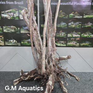 Black stump wood No 18 67x56x91cm