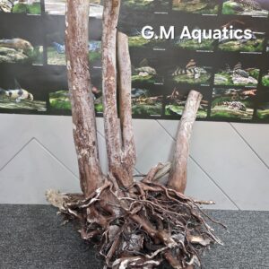 Black stump wood No 4 72x60x47cm