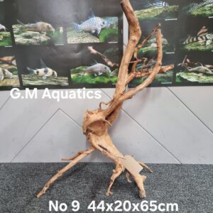 Red moor / Azalea wood  No 9  44x20x65cm