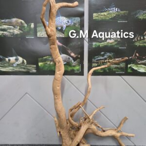 Red moor / Azalea wood No 4 35x15x65cm
