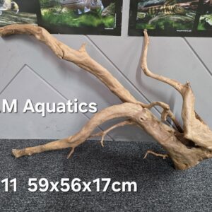 Red moor / Azalea wood  No 11  59x56x17cm