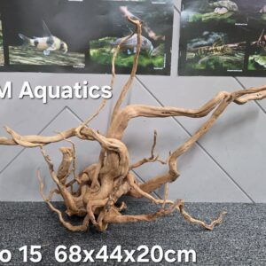 Red moor / Azalea wood  No 15  68x44x20cm