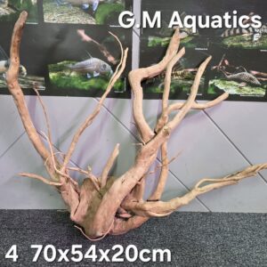 Red moor / Azalea wood  No 4  70x54x20cm