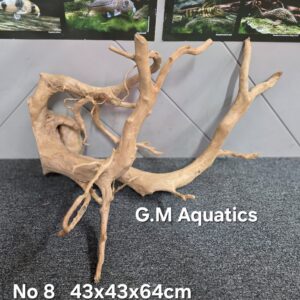 Red moor / Azalea wood  No 8   43x43x64cm