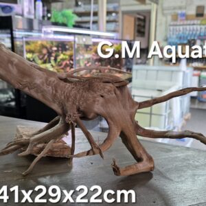 Spider / Slim wood  No 8   41x29x22cm