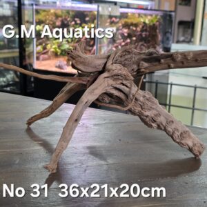 Spider / Slim wood  No 31  36x21x20cm