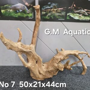Red moor / Azalea wood No 7 50x21x44cm
