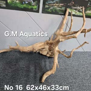 Red moor / Azalea wood No 16 62x46x33cm
