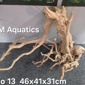 Red moor / Azalea wood No 13 46x41x31cm