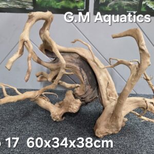 Red moor / Azalea wood No 17 60x34x38cm