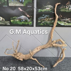 Red moor / Azalea wood No 20 58x20x53cm